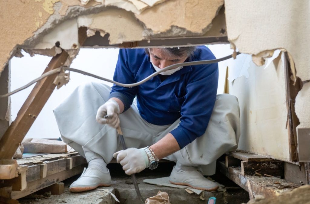 Home Mold Inspection – Providing Safe Air Quality With Professional Help